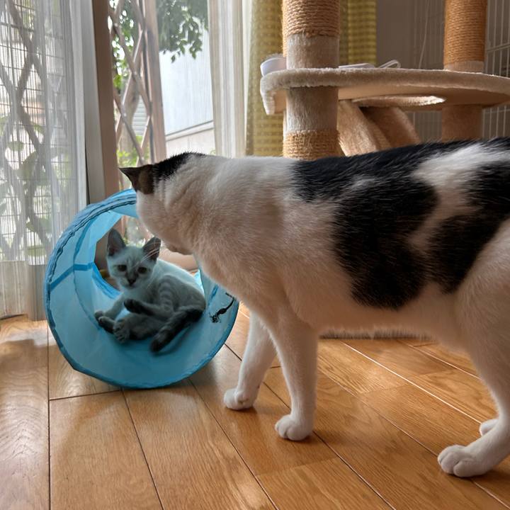 B2343498 5cf7 4856 9dd9 682e4c75c9f7 1722549045447