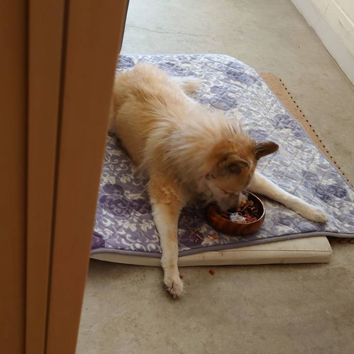 B234633a dc31 4cd9 b457 c45b4a197acf 1610348588755