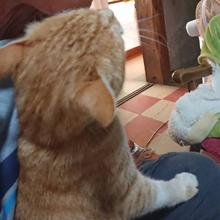 B234652e a664 4cd7 aea9 e49876539e91 1592339168833