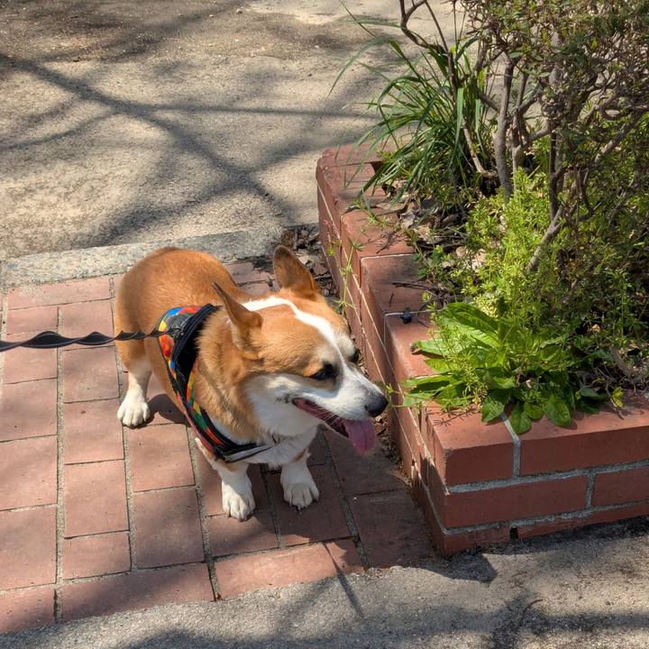 B2349bfd 652a 4ec8 9594 10e5202dd3f2 1746073609399