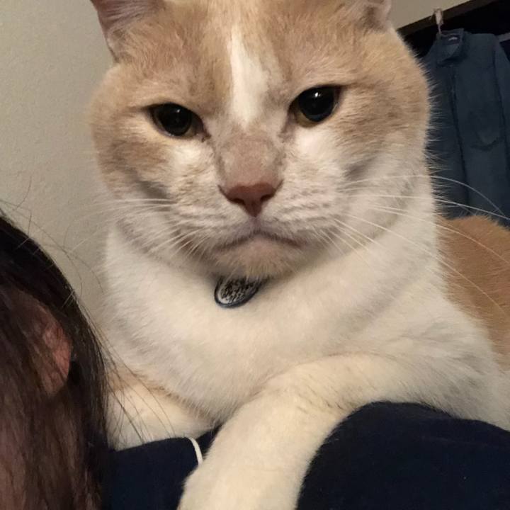 B234c1bc 53a4 42a5 bacc 2a1c458cda3e 1510543654288