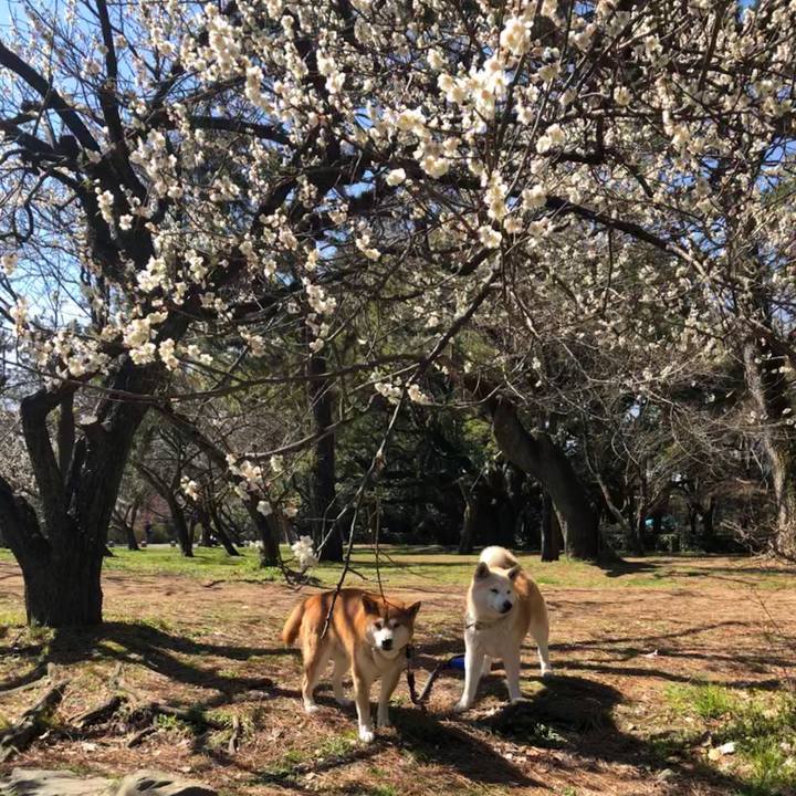 B234c651 3c74 47c8 a562 5e5d11457c7f 1552258238628