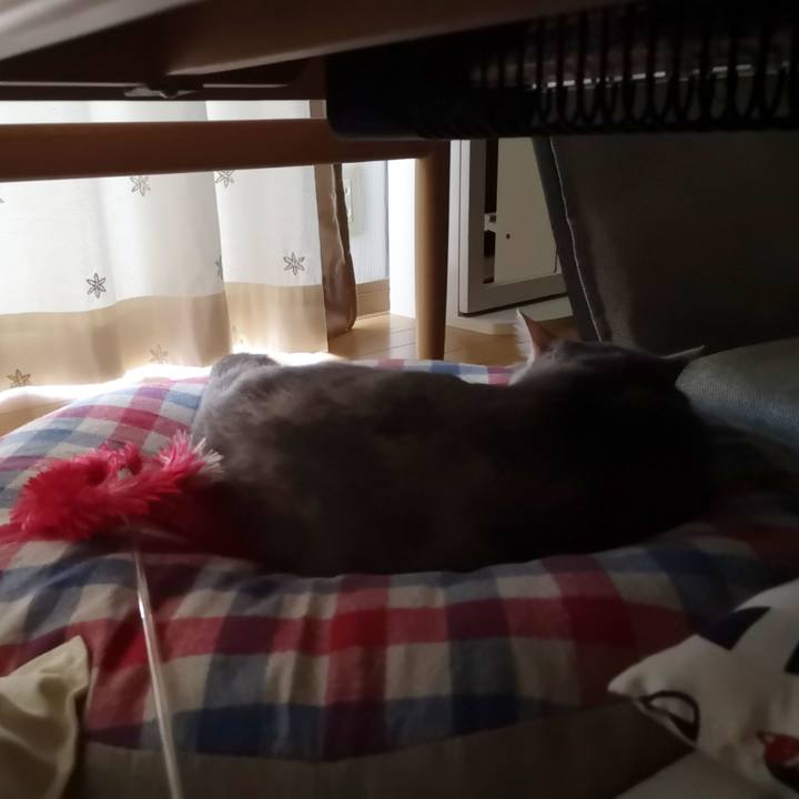 B234d2e6 4fe1 4f39 97df c9866234e436 1559178558121