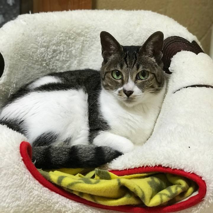 B234f7d4 1a24 4540 b2f4 977c0e5c87a5 1508117315069