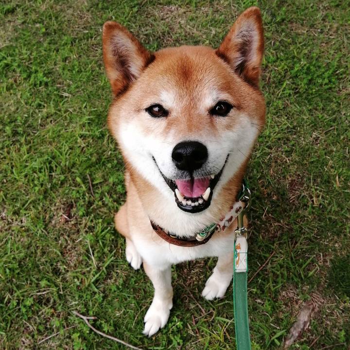 B2350af2 115f 48fc 932a 432081816cc0 1623633300663