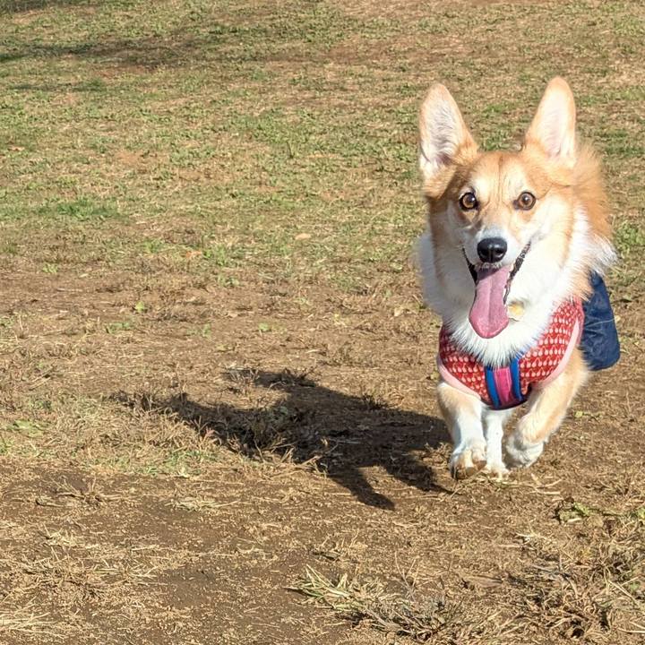 B2350fa4 ec8a 43b2 916d a6a24e7b1bda 1763982909841