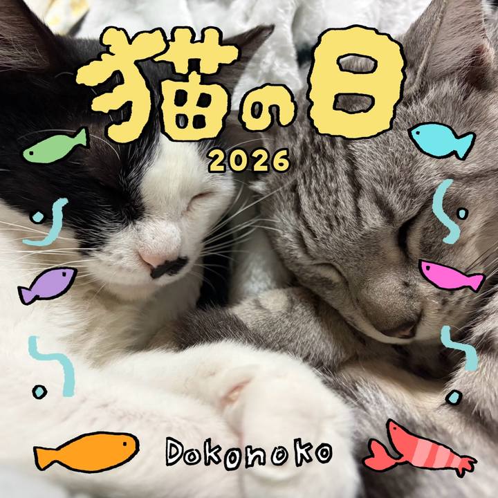 B2351e72 1c56 4372 b5d7 c19770ca3a08 1771742088142