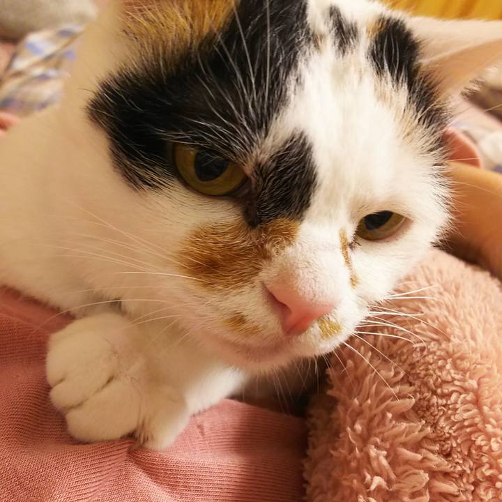 B23546a2 69eb 4874 90b2 c8d462e0c79e 1574435280783