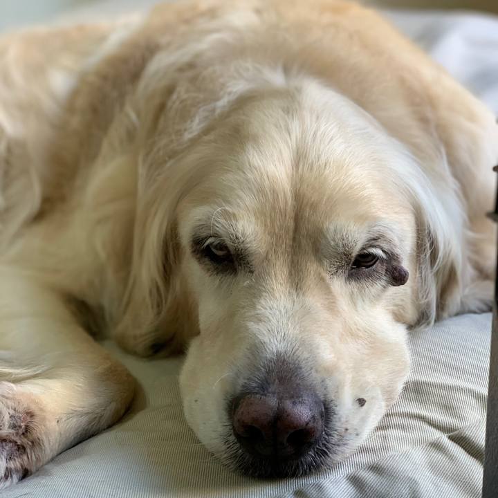 B2355e9d 8d4d 4832 9b3a 7ef84881bf7f 1572958453962