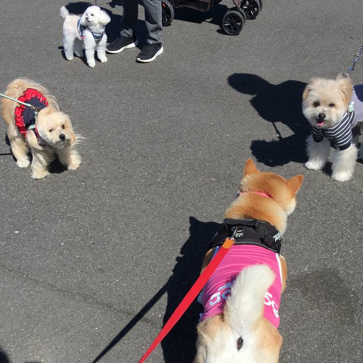 B23588be ff8c 4261 9297 d3b9e6398a75 1583898691991