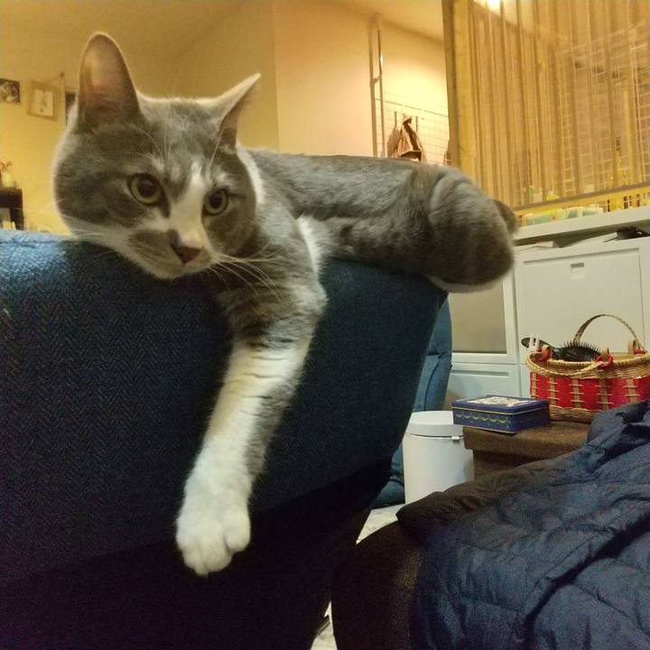 B235c277 819a 4ef9 a45e 2daaf160b979 1646139543363