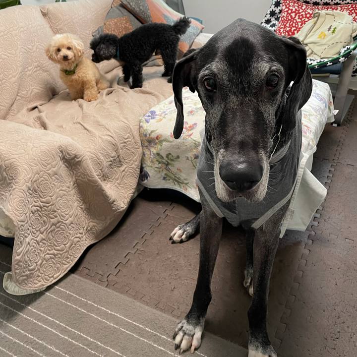 B235ed2e 608b 4d6d bc42 17f329b470d4 1633906758249