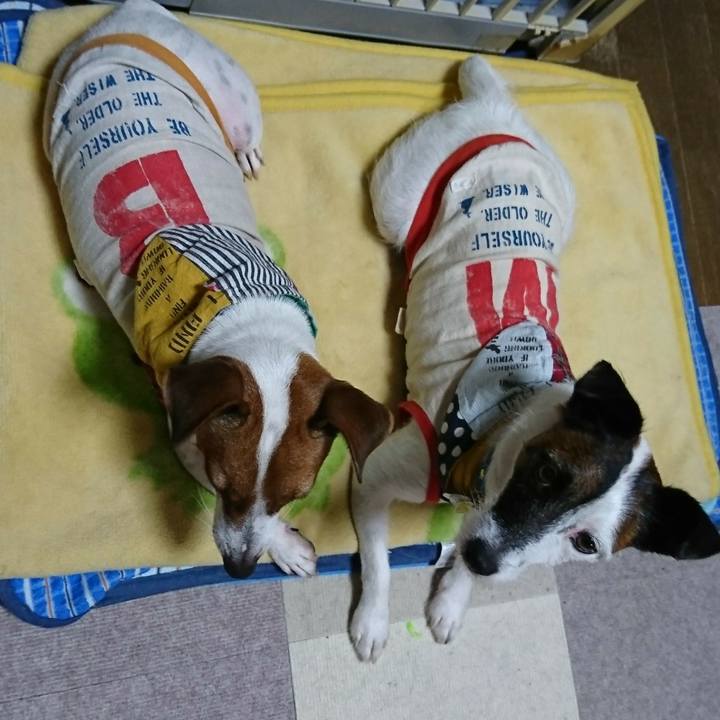 B235fc28 a13c 43bb a648 6b8308f0d532 1571312860354