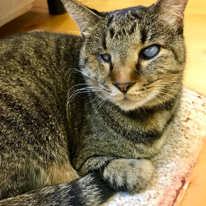 B2360f89 dd44 4bae a938 b769755c9fdc 1541331103052