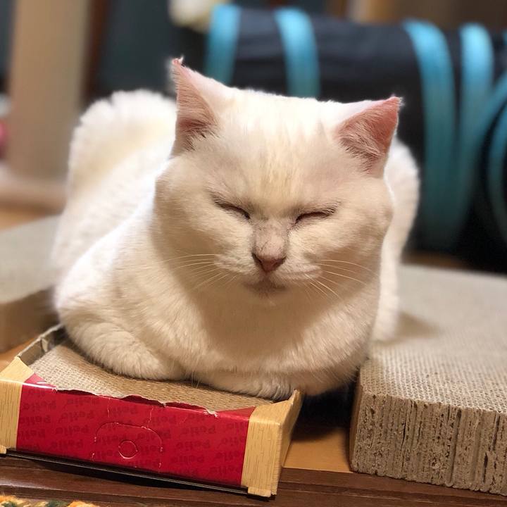 B2363558 2015 4fe2 a6e9 8264cd07eb40 1532960417412