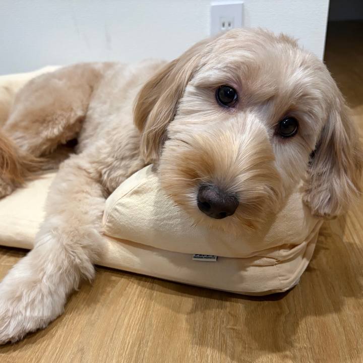 B23651c1 6774 494c b9b1 b3521f6cfb00 1759753369358