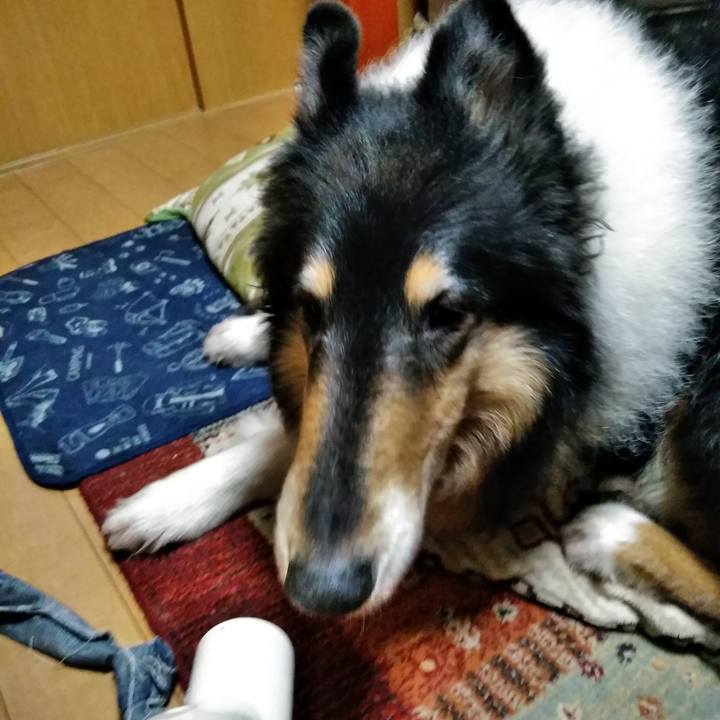 B236d927 c925 4f54 9348 99d4593d0089 1544711240878