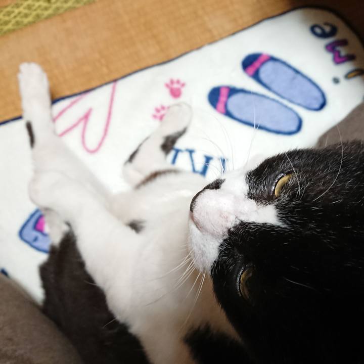 B236e2ca 4e2a 4cce 8075 90e4cbed7066 1635068850088