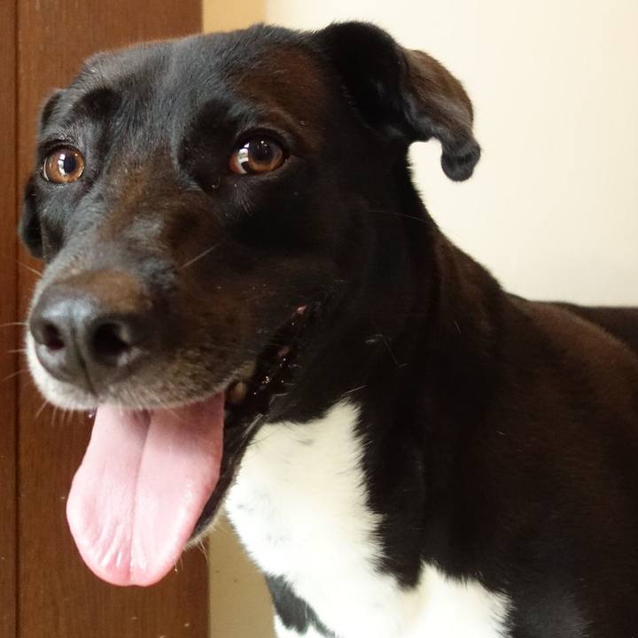 B2373acb 1a17 4ec6 84e9 6fd21bd9cb17 1596585061739