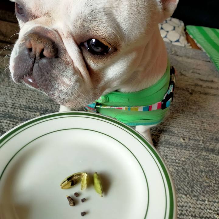 B2374f21 7ea2 409b 974e ab9078abd73e 1647131668950