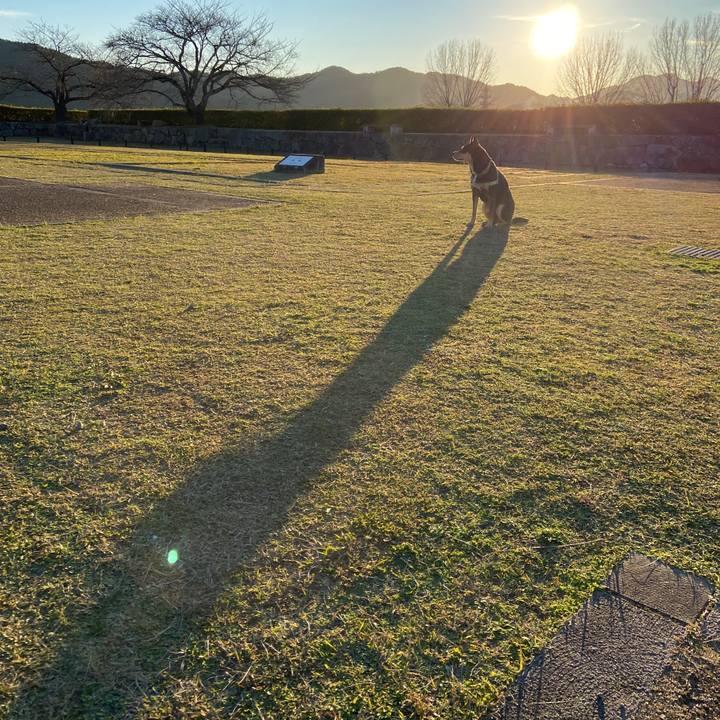 B23778b6 038b 454f a7b2 0563a9fd3912 1638189391172