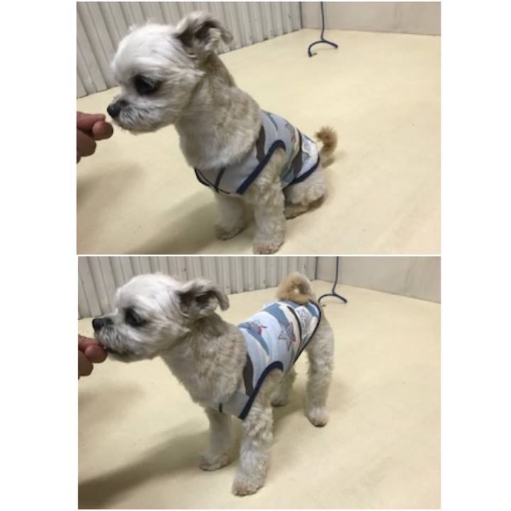 B237c898 0d0b 4073 9653 3b2a3734110e 1571310564077