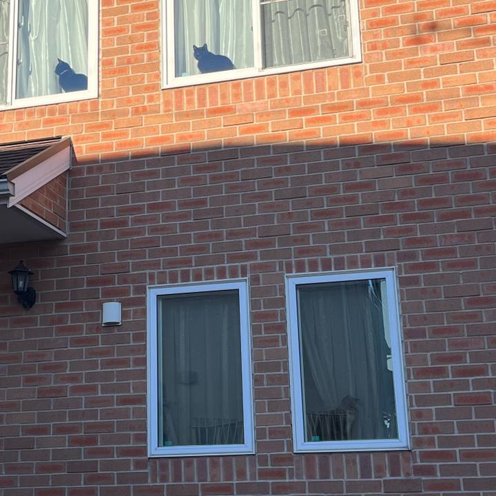 B237d139 23d9 46aa ac31 13d9375b5eb5 1673307576095