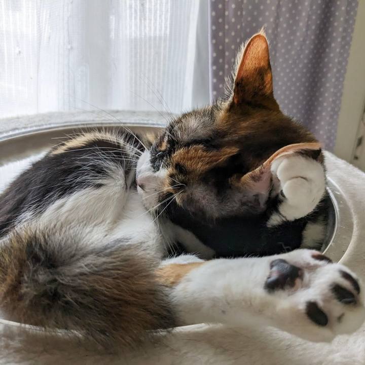 B237d50e dfe7 4421 833a 8f81ee5aaace 1689493374774