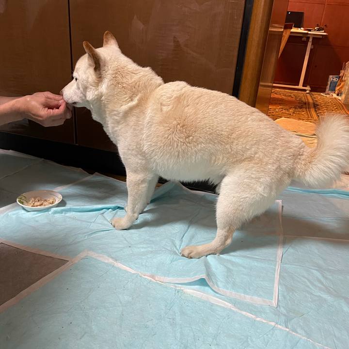 B237e7d1 47f0 4662 b9a6 466cba1eb0d0 1634713638757