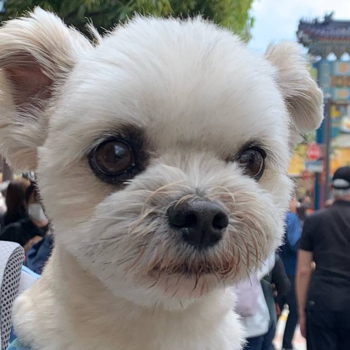 B237f51b aeea 4536 9471 38564f1700d3 1683292211748