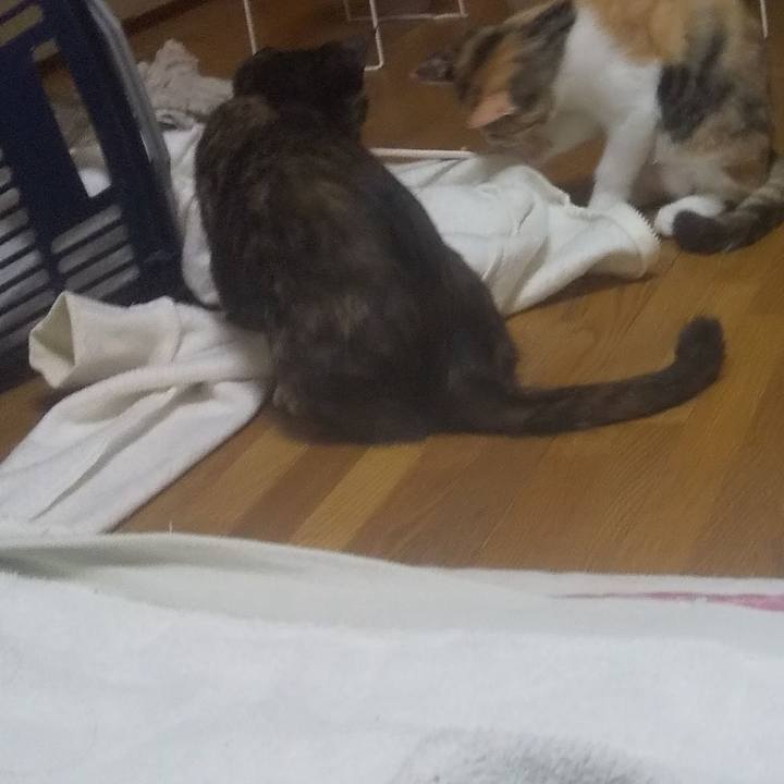 B2382df0 1002 4330 8d5d 9d5c136d5240 1725187657842