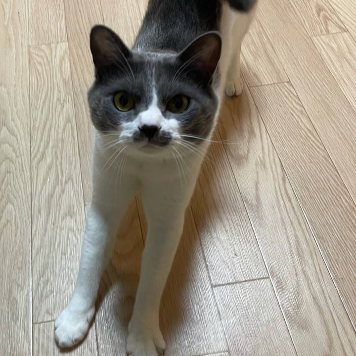 B2384255 9966 4e46 9f13 7b0c6322c1f4 1625359349557