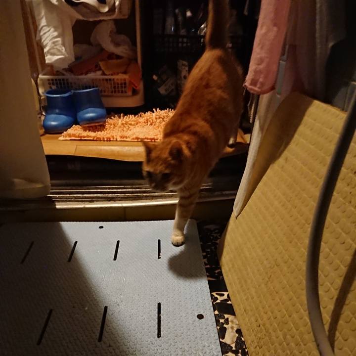 B2386ac9 a8c3 4b2f 96eb 606723b0e8b2 1579511647667