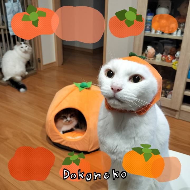 B2388755 f9a3 4b67 8fd5 933ff749ec1f 1761489751984