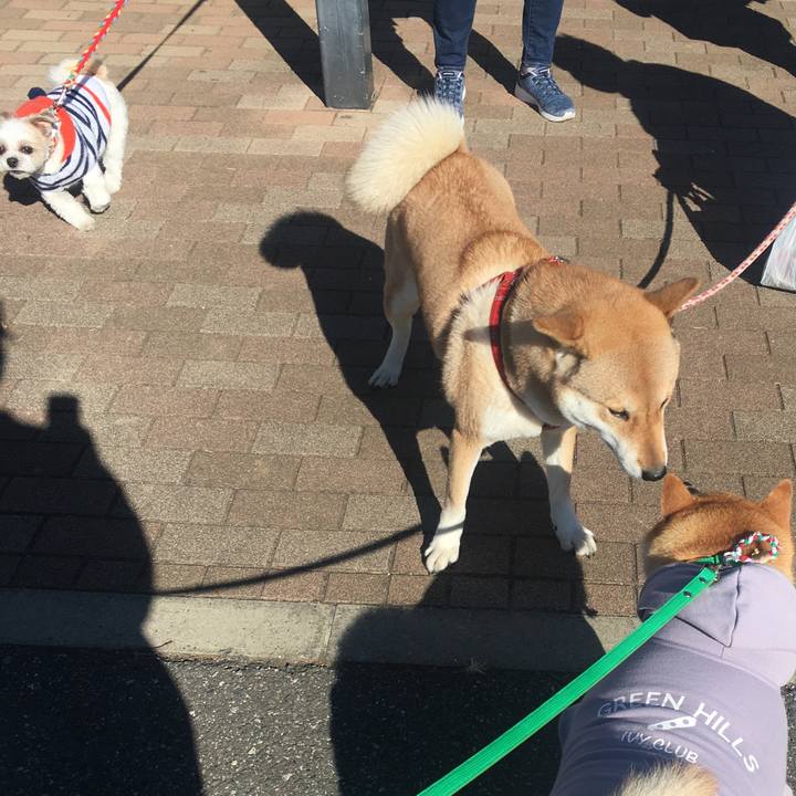 B2389d11 a334 4f2f 8432 f6758d8313de 1608521604295