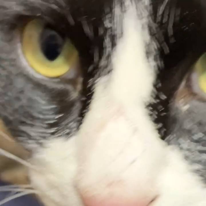 B238b001 1758 4d32 8b4a af434f57427c 1740171895966