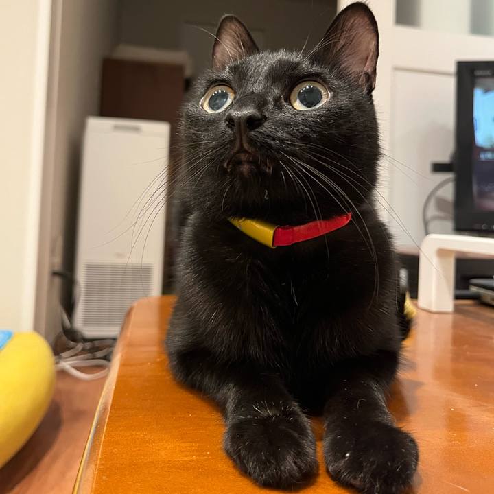 B238bc14 a43b 40e3 862b e34a217fc4f1 1759145567878