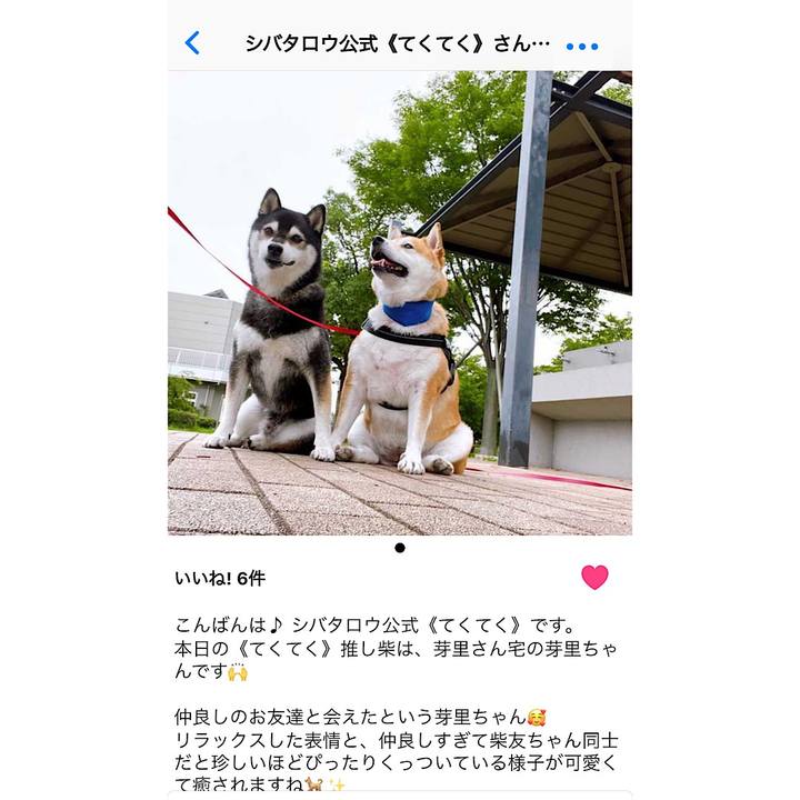 B238cd69 ca1f 4577 b655 930721fd8168 1661507328438