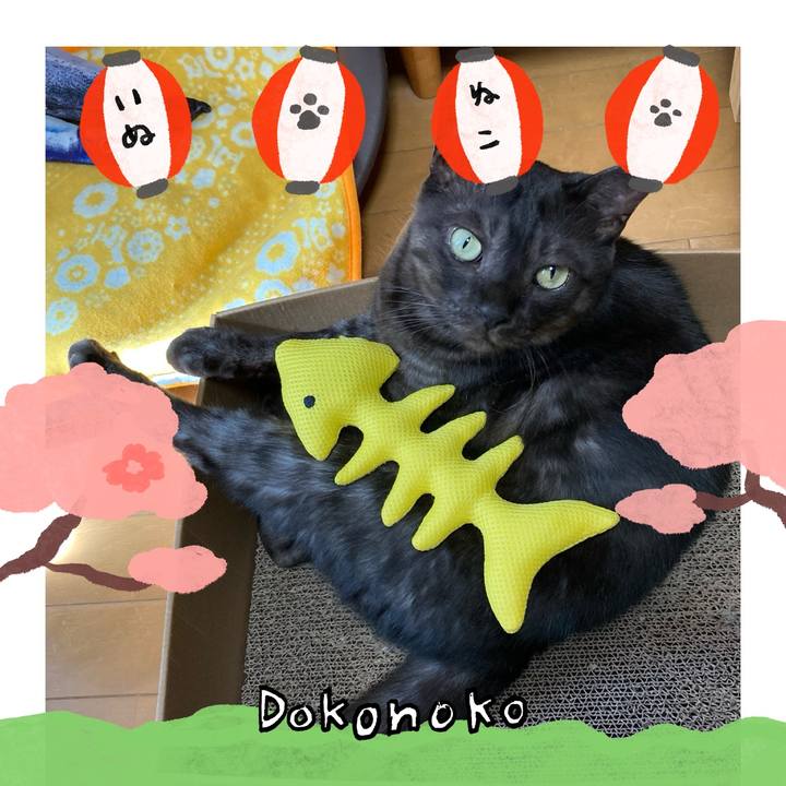 B238f479 0cf6 44b2 93d4 02e4bf34af98 1712700399091