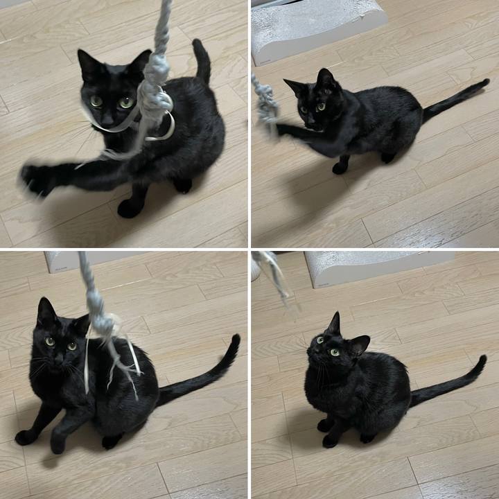 B239084e df12 48f8 aa4b d43def83bec3 1662720968747