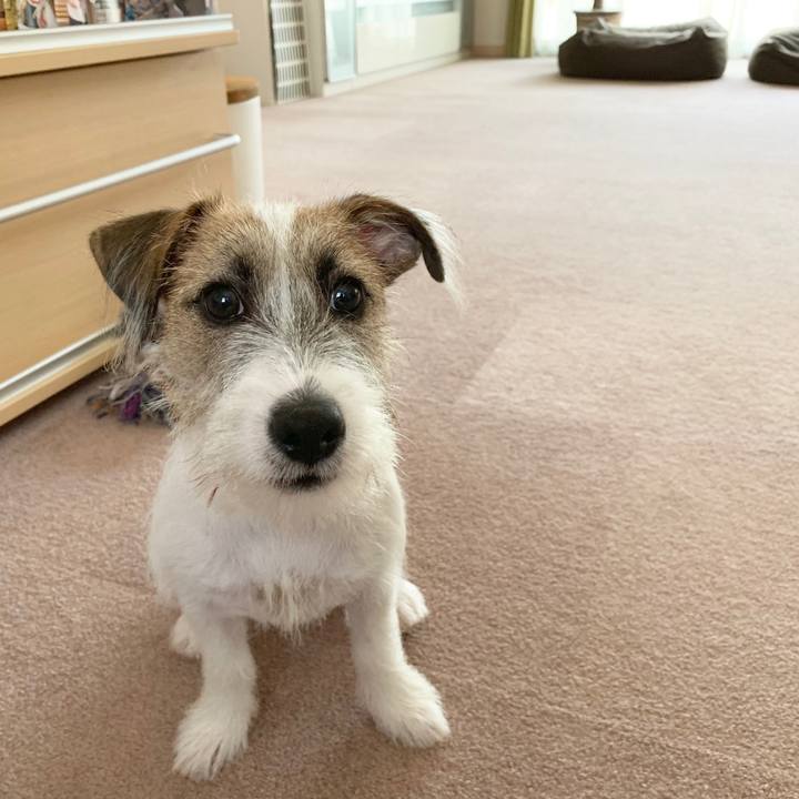 B2394562 26e3 45c6 afbe 2919a86f4ba7 1564987627909