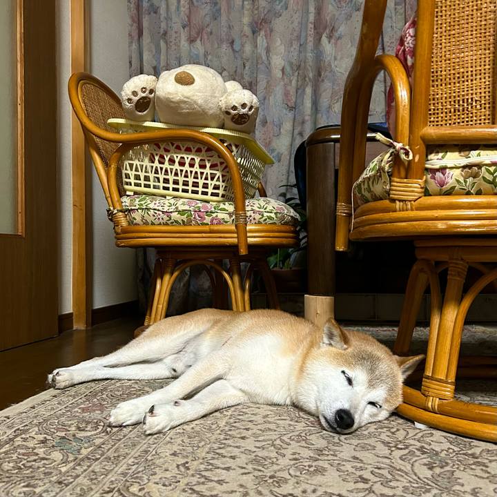 B2394f0f 10e2 4ef3 8645 faecf06ca93a 1753963546859