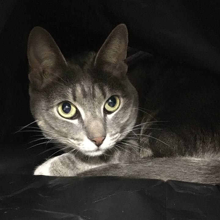 B2397c2b 559e 4e29 8fef 2387ddd38884 1627397034383