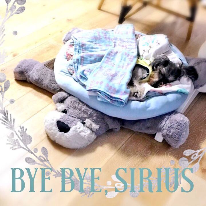 B23986c4 5d98 456c 9c15 b3c03f0a3dbb 1530921195900