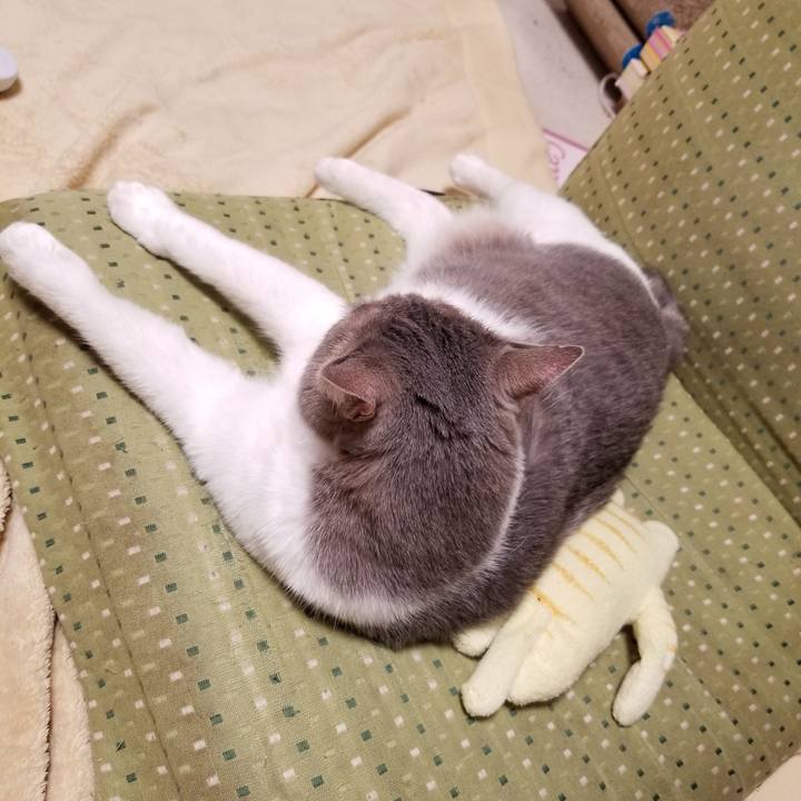 B2398734 53bb 4f2b 877d 9863c3b8fcd2 1616850201303