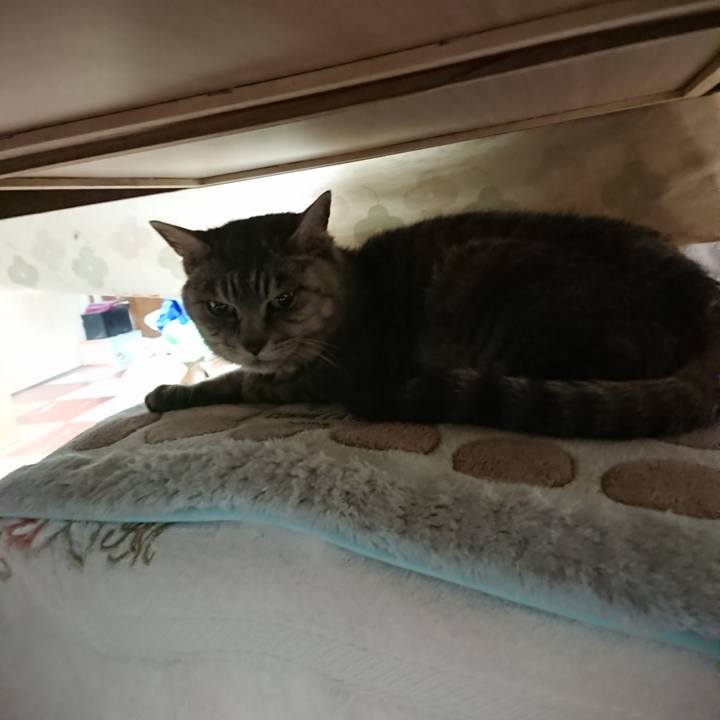 B239ae8a 8a90 4722 9db5 06fb914b5b0c 1572558555506