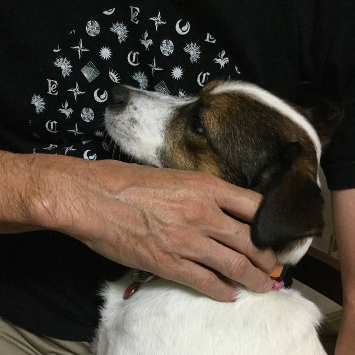 B239b46f 6e59 45a0 803a e430aecdb3ab 1536747839289