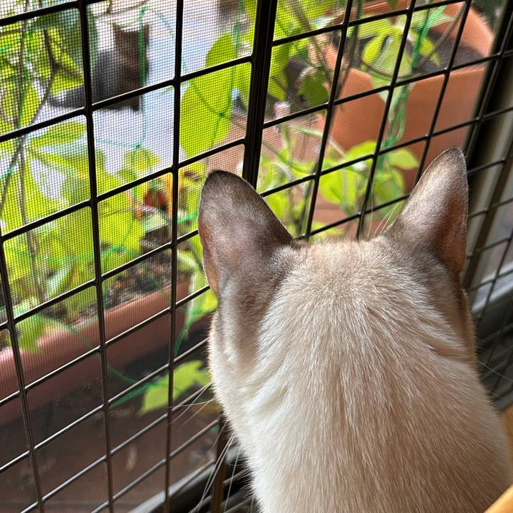 B239bf69 eaef 40fd 9771 84ea8f7b6dbd 1756504911910