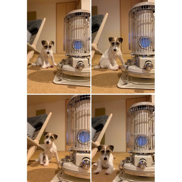 B239f7dd b273 43df a1a9 7f4160e8e5ba 1585372832577