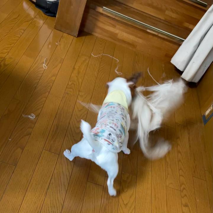 B239fd37 23a9 4d70 a8cf 072f4d9dd2fe 1625528287091